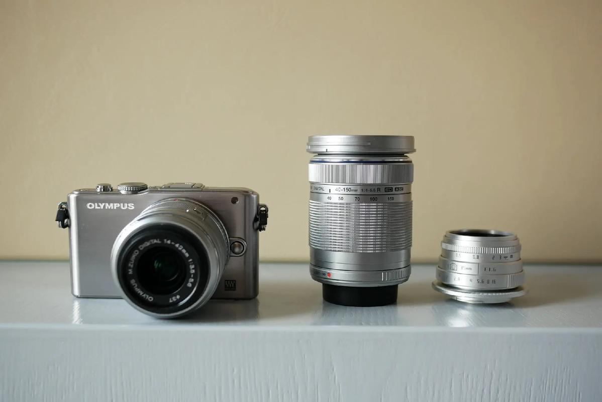 奥林巴斯E-PL3与松下GF3机身差别大吗?