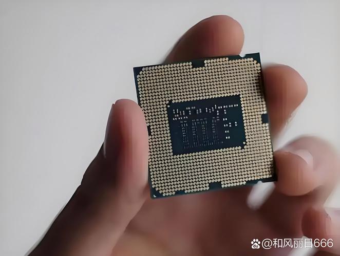 自研芯片v1+是什么意思