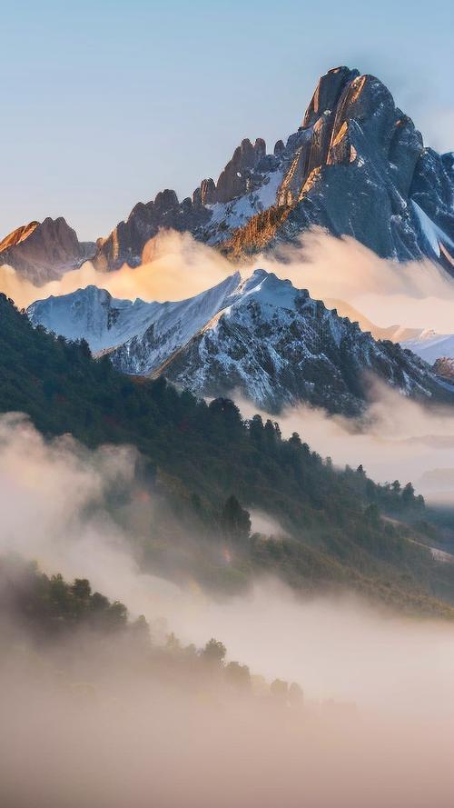 opa77t手机多少钱