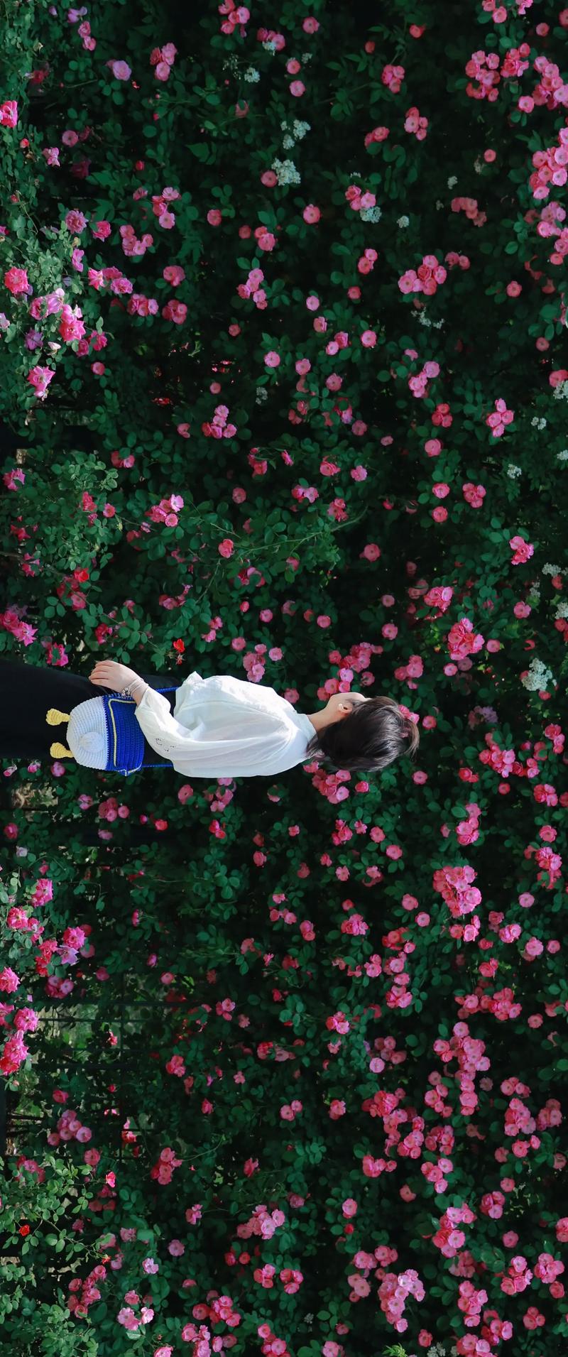 佳能850d双重曝光拍摄技巧