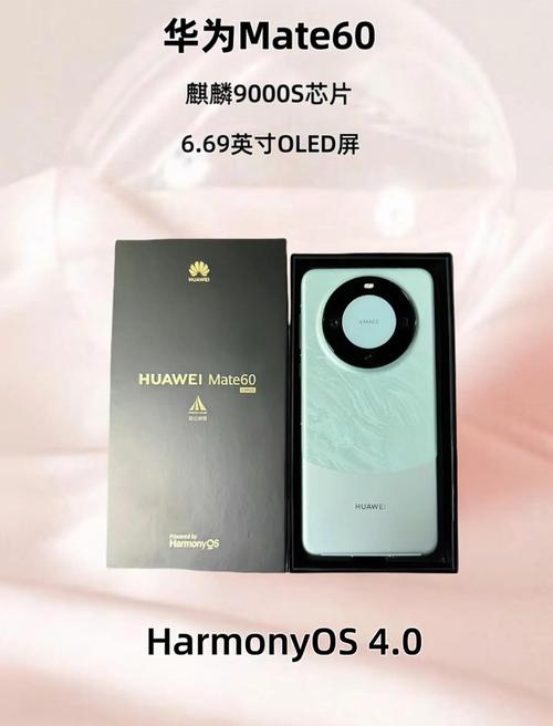 mate60有5g功能吗