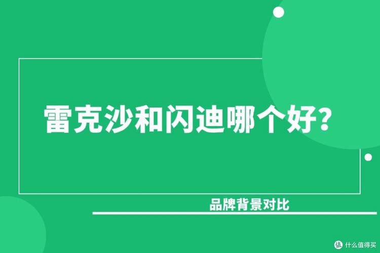 闪迪和雷克沙哪个好