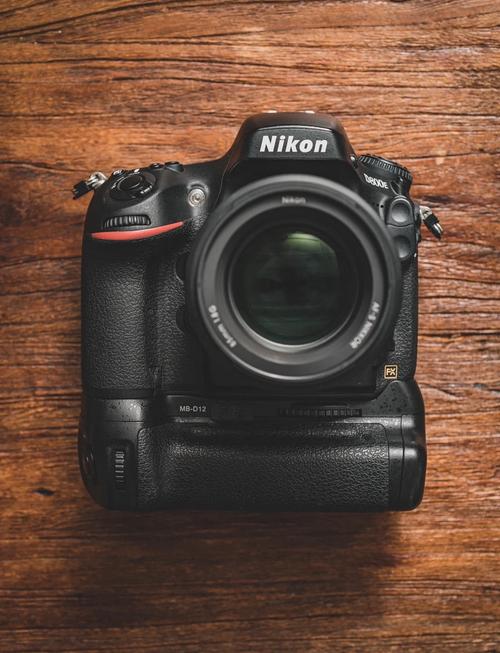 尼康D800E与D800有什么区别-尼康D800E