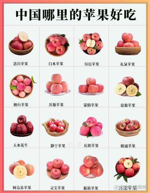 中国哪里的苹果比较好吃?这六个地方最有名