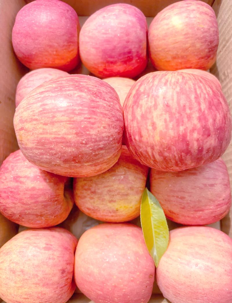 全国哪里的苹果比较好吃?