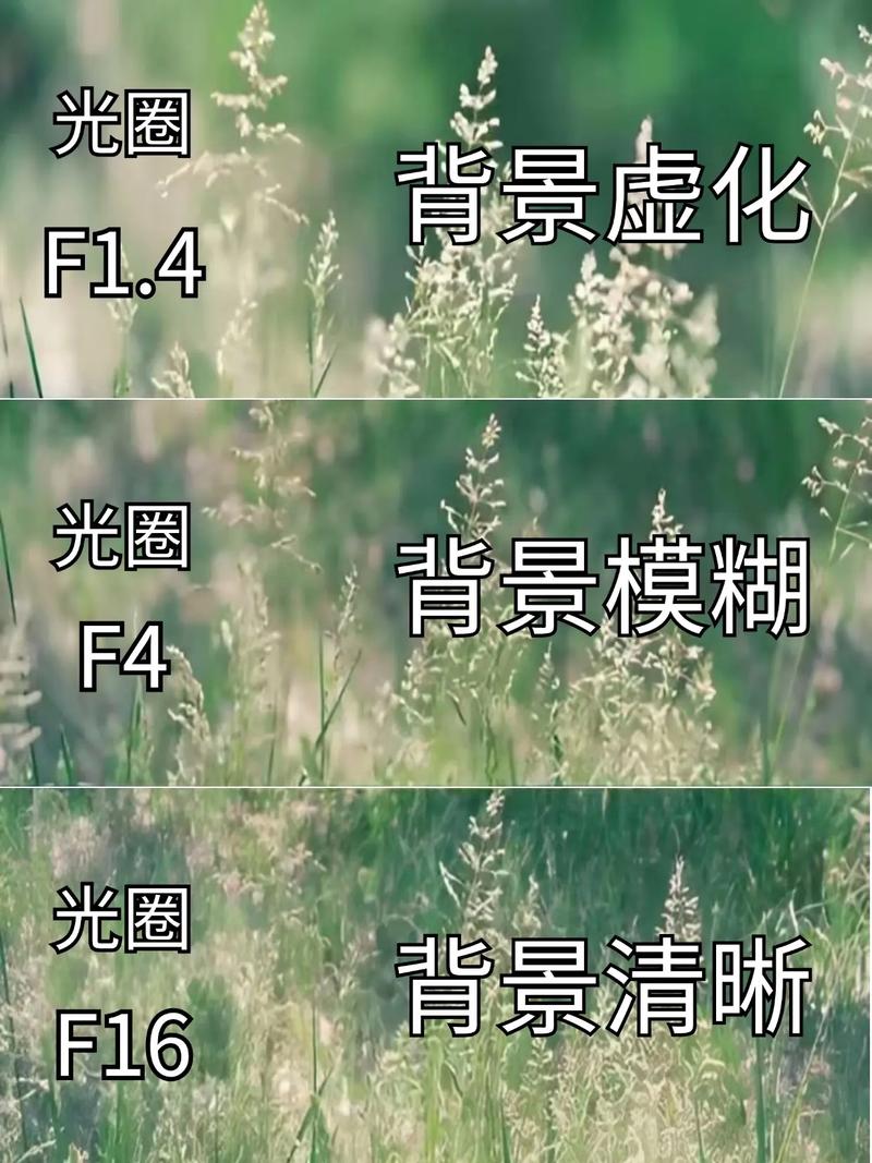 佳能有哪些红圈镜头