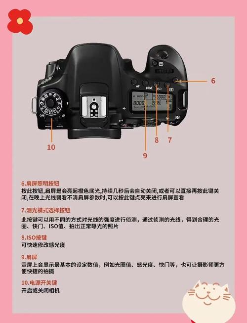 我想问一下eos80d怎么手动对焦