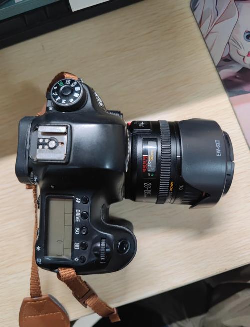 佳能6D2的颜色和6D哪个好