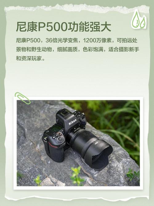 尼康p500是单反吗