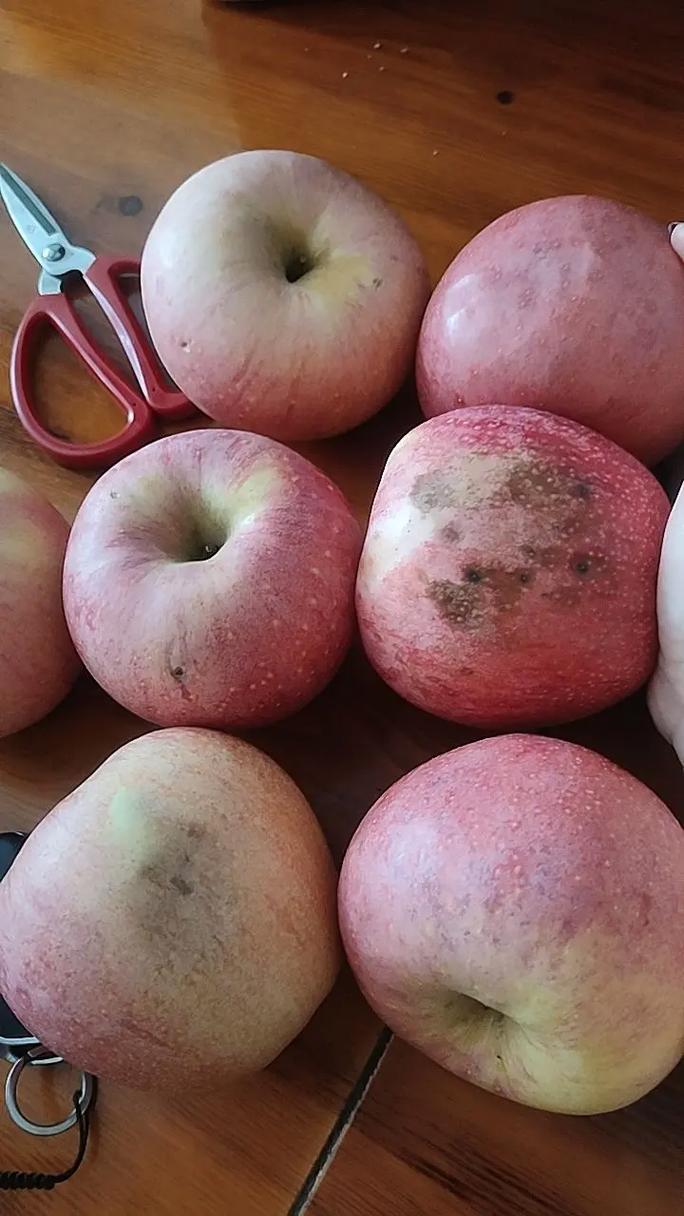 我有一个苹果4前后都摔坏了还能卖多少钱