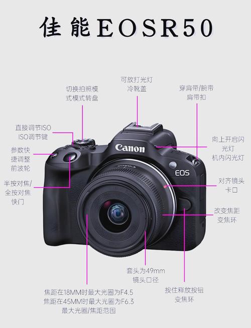 尼康或佳能的数码单反换个快门多钱?