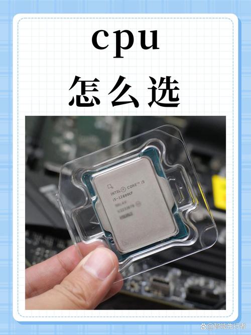 什么叫cpu