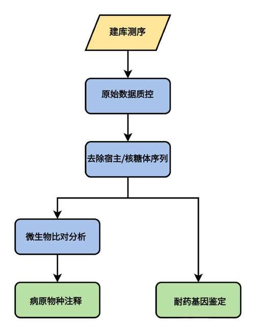 宏基因组测序产品的样本采集和处理有哪些要求?
