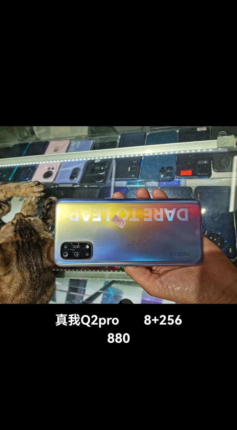 ipoou5和真我q2por哪个好