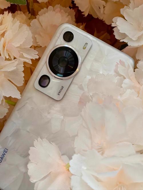 华为公认拍照比较好的是哪款