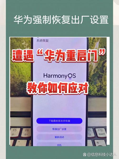 华为畅享10S格机解锁恢复出厂设置不能输YES?