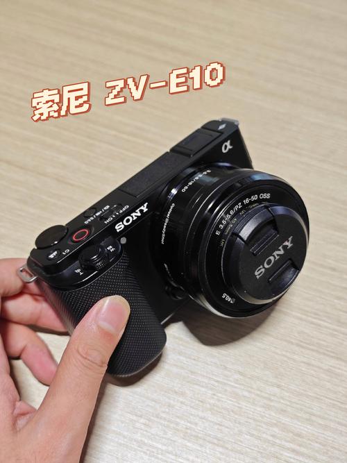 索尼有什么能拍人像也能拍微距的镜头?谁清楚?