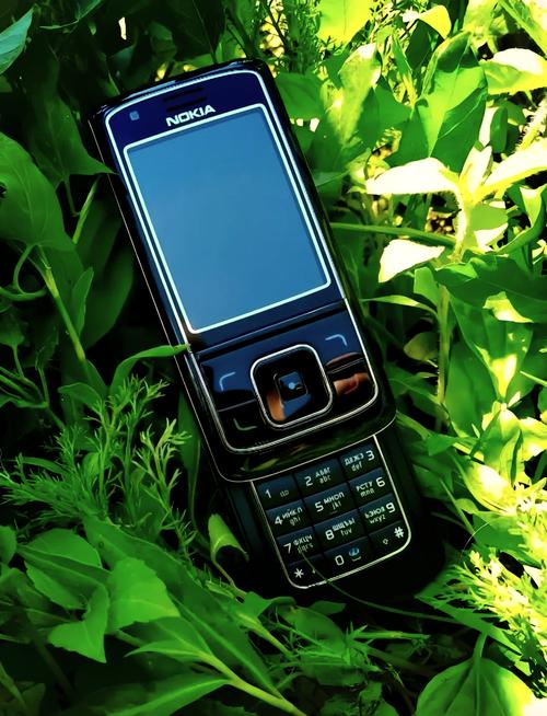 大伙比较好的非智能机品牌推荐?买什么牌子比较好