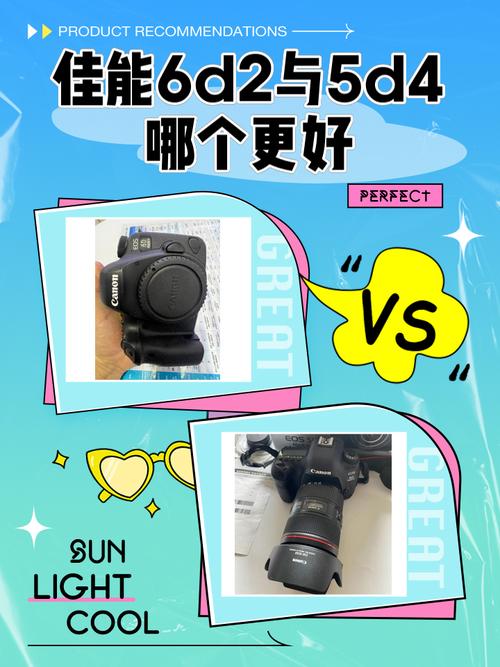 佳能的6D和5D差距有多大啊