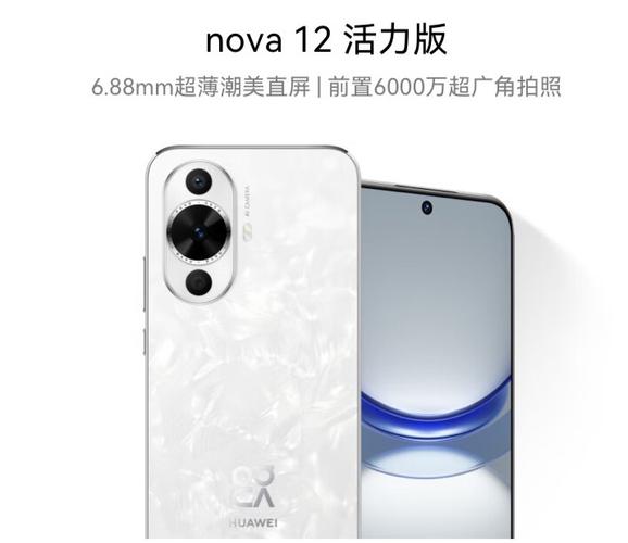 nova12活力板和荣耀畅玩50plus那个好