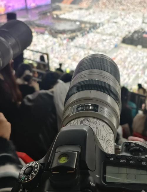 热销的4款佳能单反,哪款最值得入手?