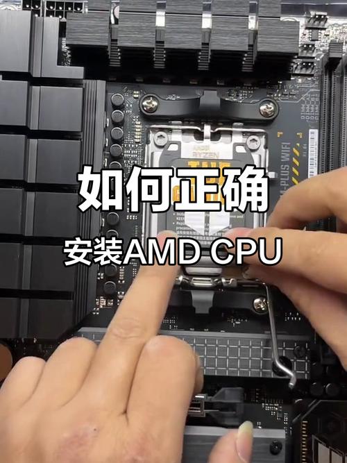 amd今年出新cpu吗