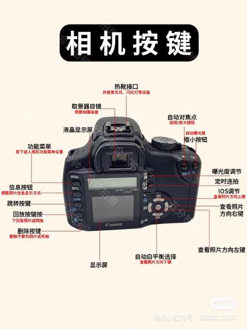 一口气了解17款佳能入门级数码单反