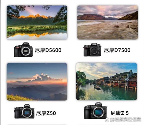 尼康的中端单反有哪些