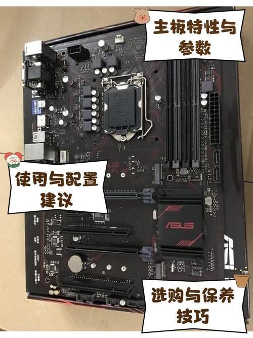 b250主板可以配哪些cpu?b250主板能装什么cpu