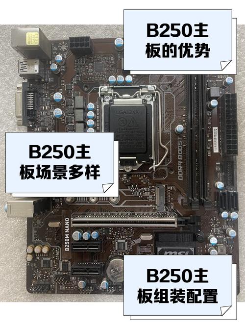 b250主板可以配哪些至强