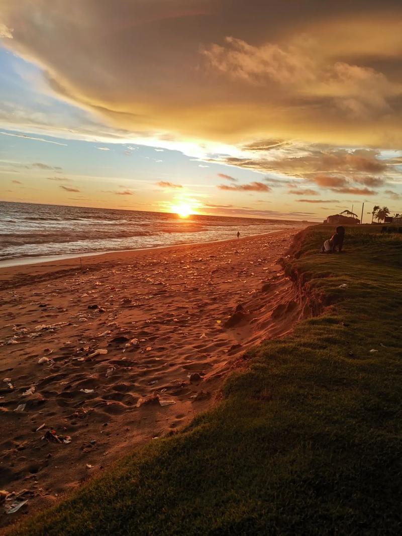 mate20拍照怎么样