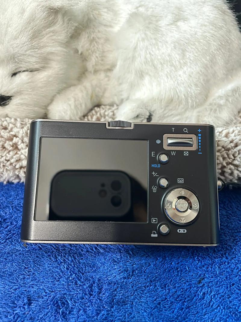 sonyw120和三星nv33哪个好啊?哪位有经验?