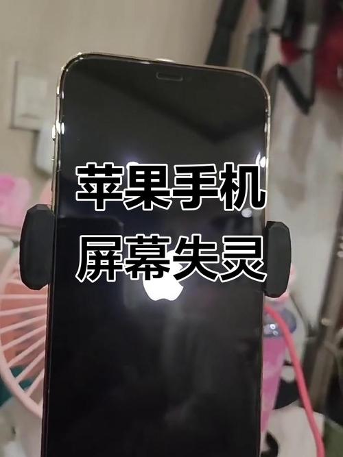 iphone手机卡屏了怎么办