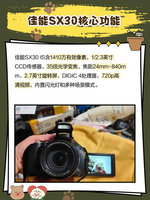 佳能SX30IS产品概述