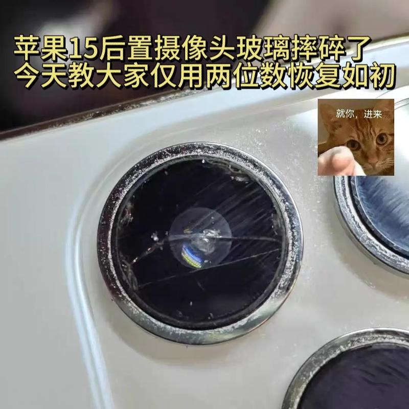 苹果7摔地上,打开照相黑屏,手电筒没光,需要维修多少钱?