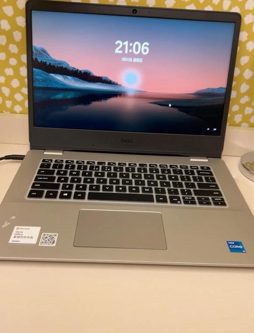 戴尔2g独显可以升级为4g吗