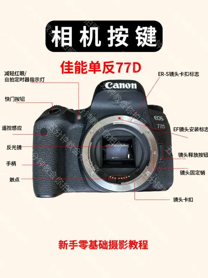 佳能5d4如何移动对焦点