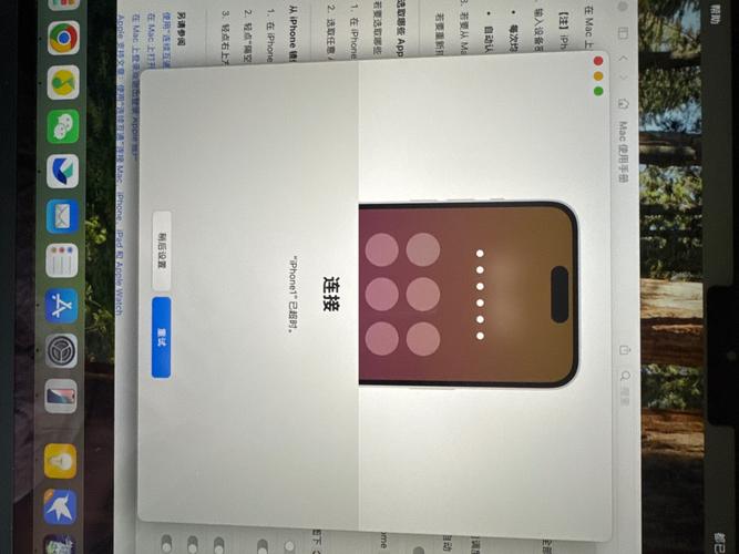 苹果手机屏幕镜像怎么打不开