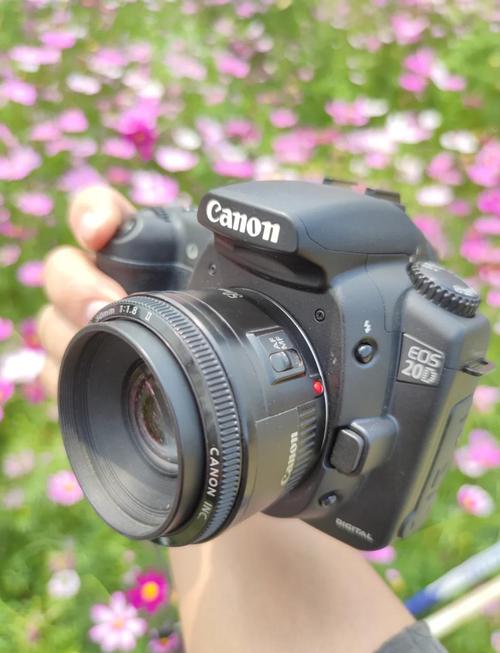 佳能20d怎么样??现在买2手的。大概多少钱??