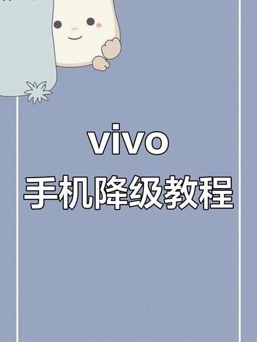 vivox27清除数据还要密码怎么办