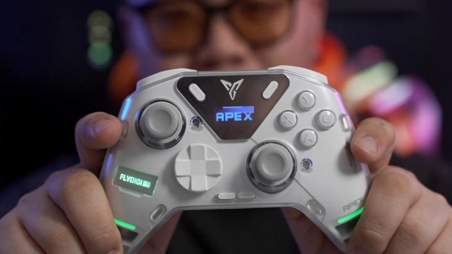 求WII上能用经典手柄玩的游戏