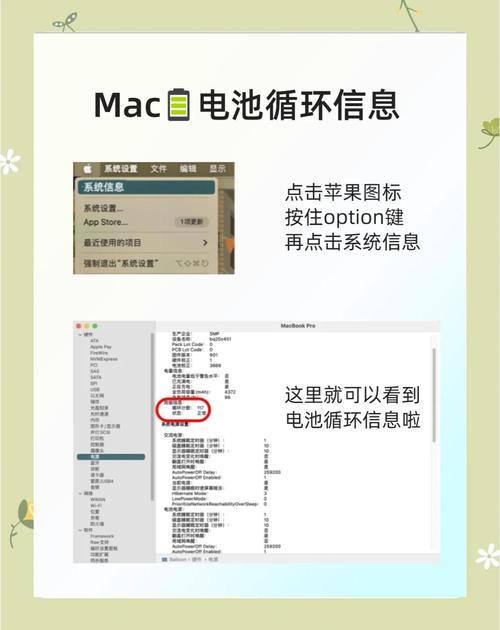 如何查看iPhone5的序列号以确定是否符合更换电池服务的条件?