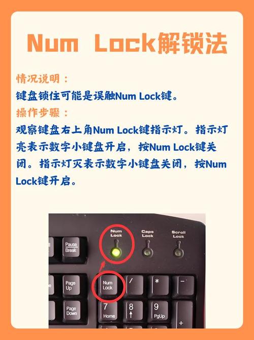 sony电脑键盘锁了怎么解