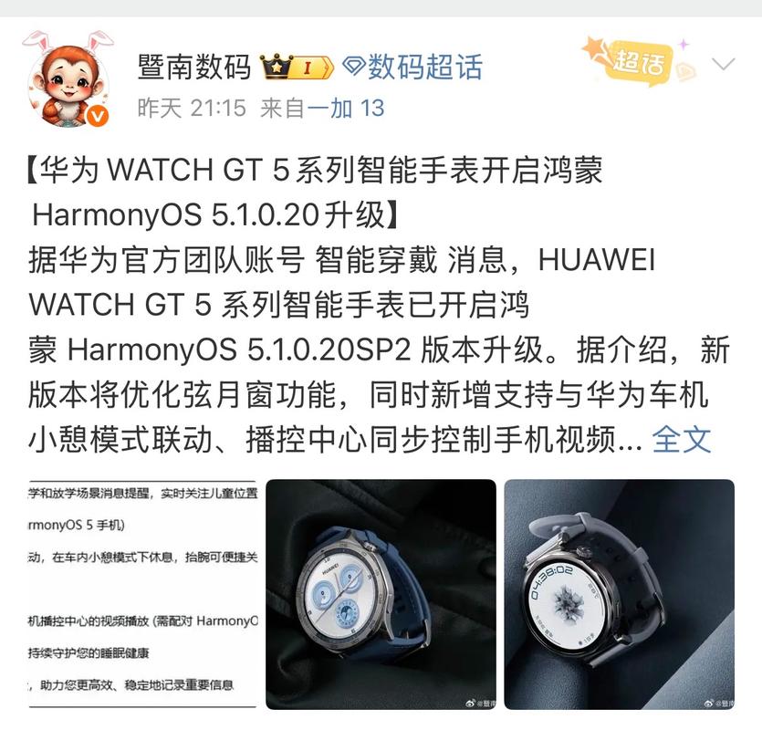 华为gt2pro怎么升级鸿蒙