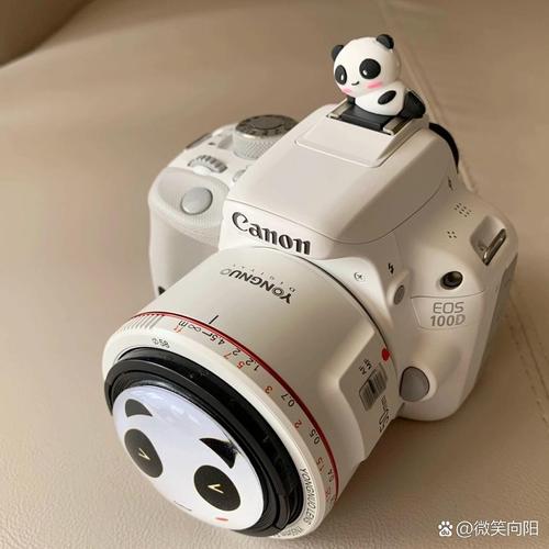 适合女生用的单反相机有哪些