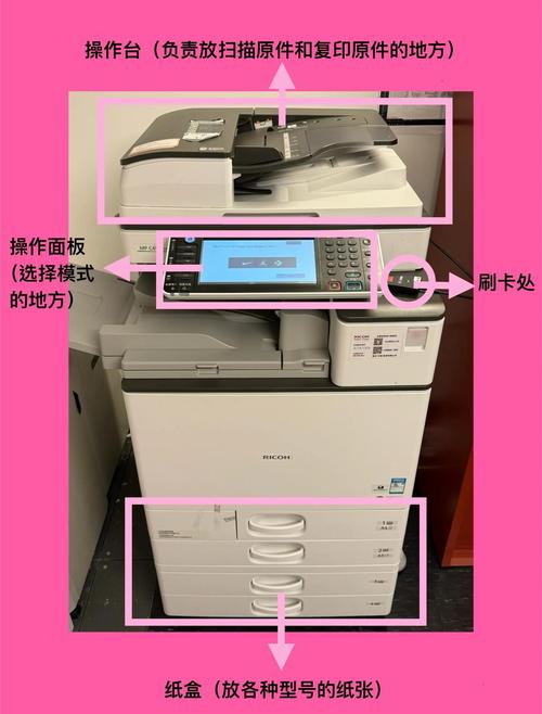 夫子说打印机的纸怎么放呢