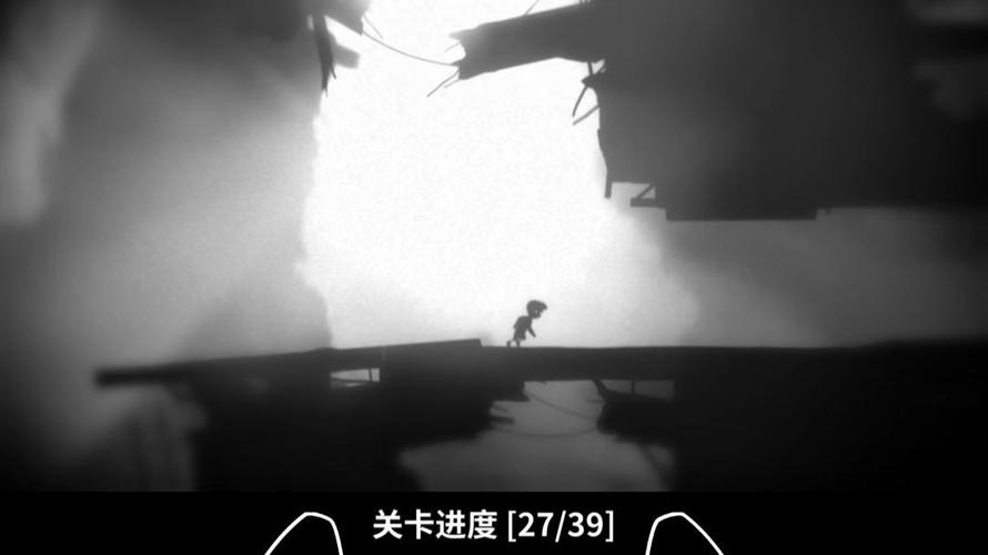 锤子坚果pro2有双系统吗