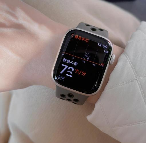 苹果手表体温检测怎么打开