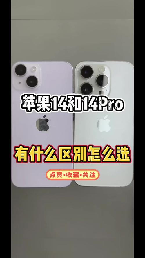 苹果14与苹果14pro区别