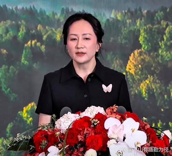 孟婉舟能接管华为吗